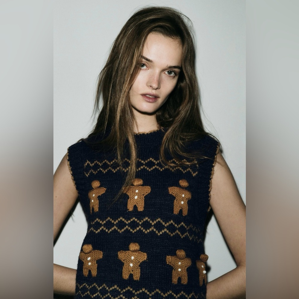 ZARA gingerbread cookies knit sweater vest